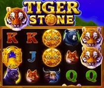 Tiger Stone